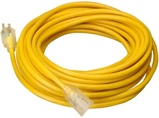 Extension électrique 100′, 220V